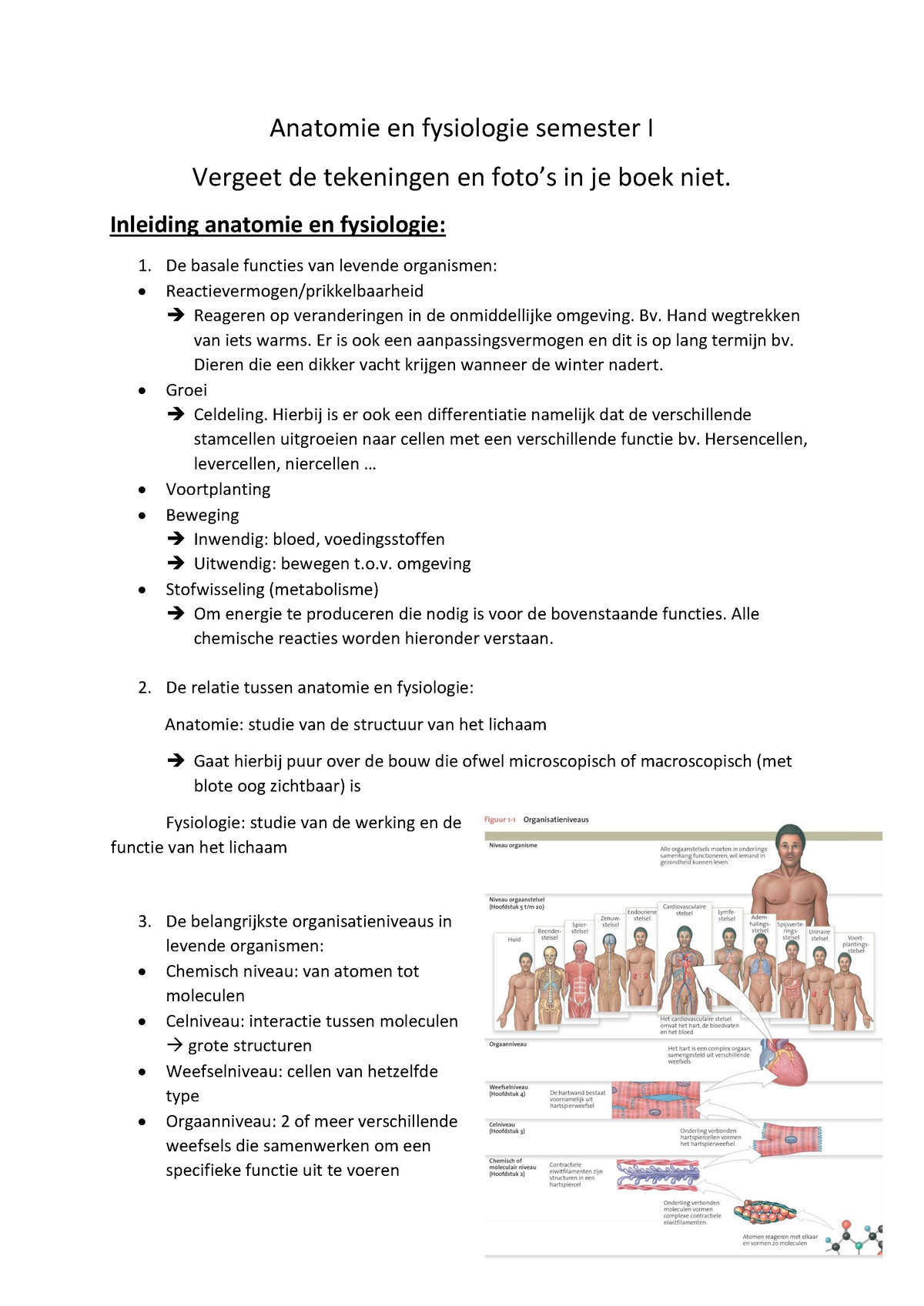 Anatomie En Fysiologie Semester I Samenvatting - Anatomie En Fysiologie ...