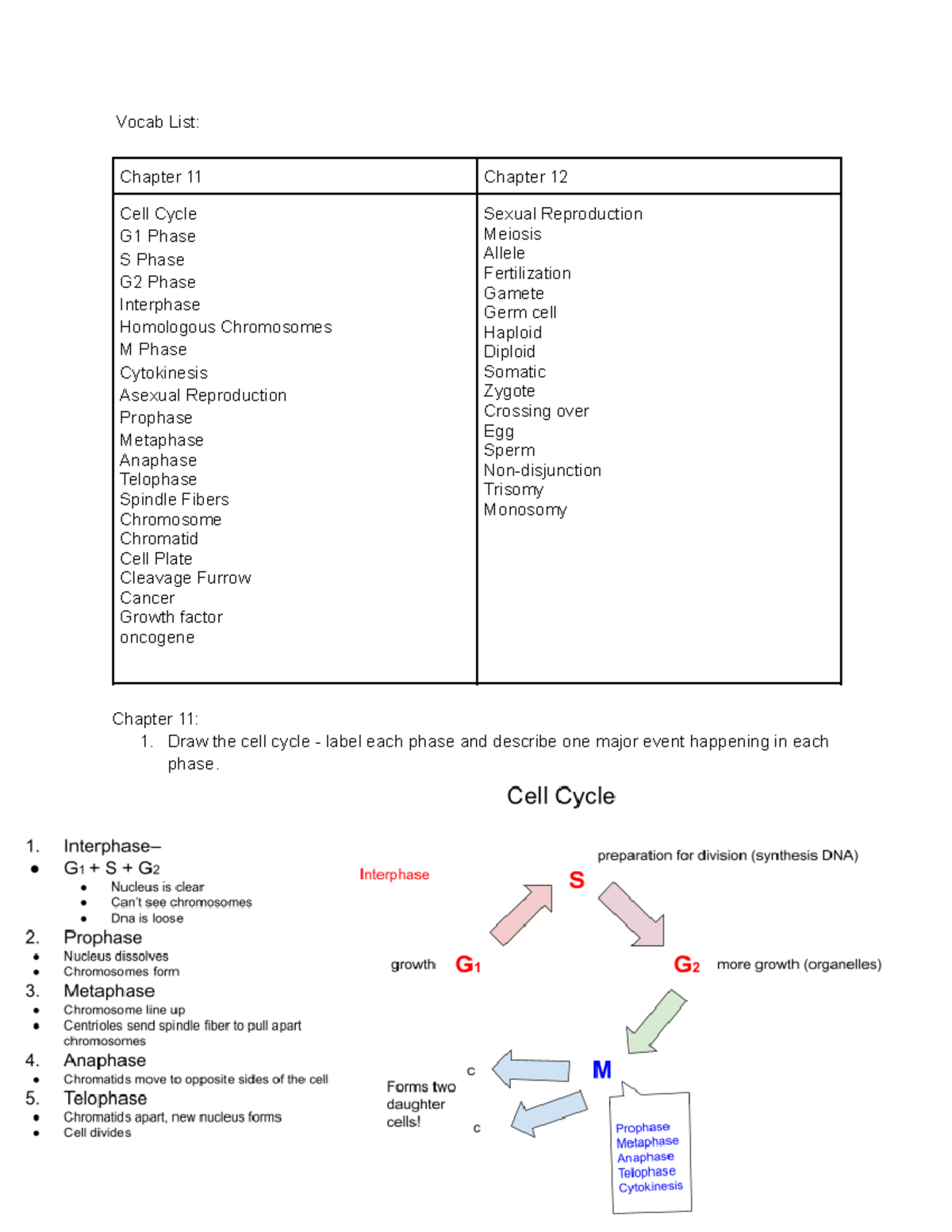 Biology Unit 4 Study Guide - Vocab List: Chapter 11 Chapter 12 Cell ...