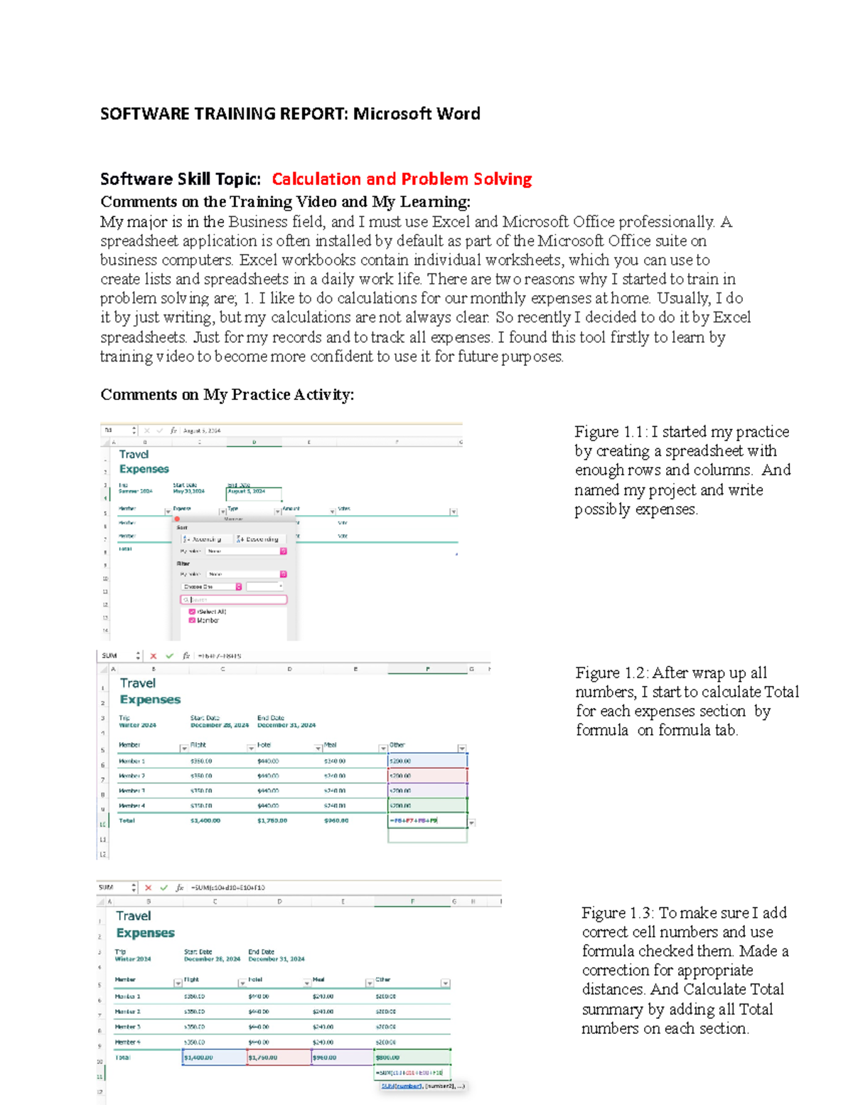 200 w1 Software Training Report Content and Layout - SOFTWARE TRAINING ...