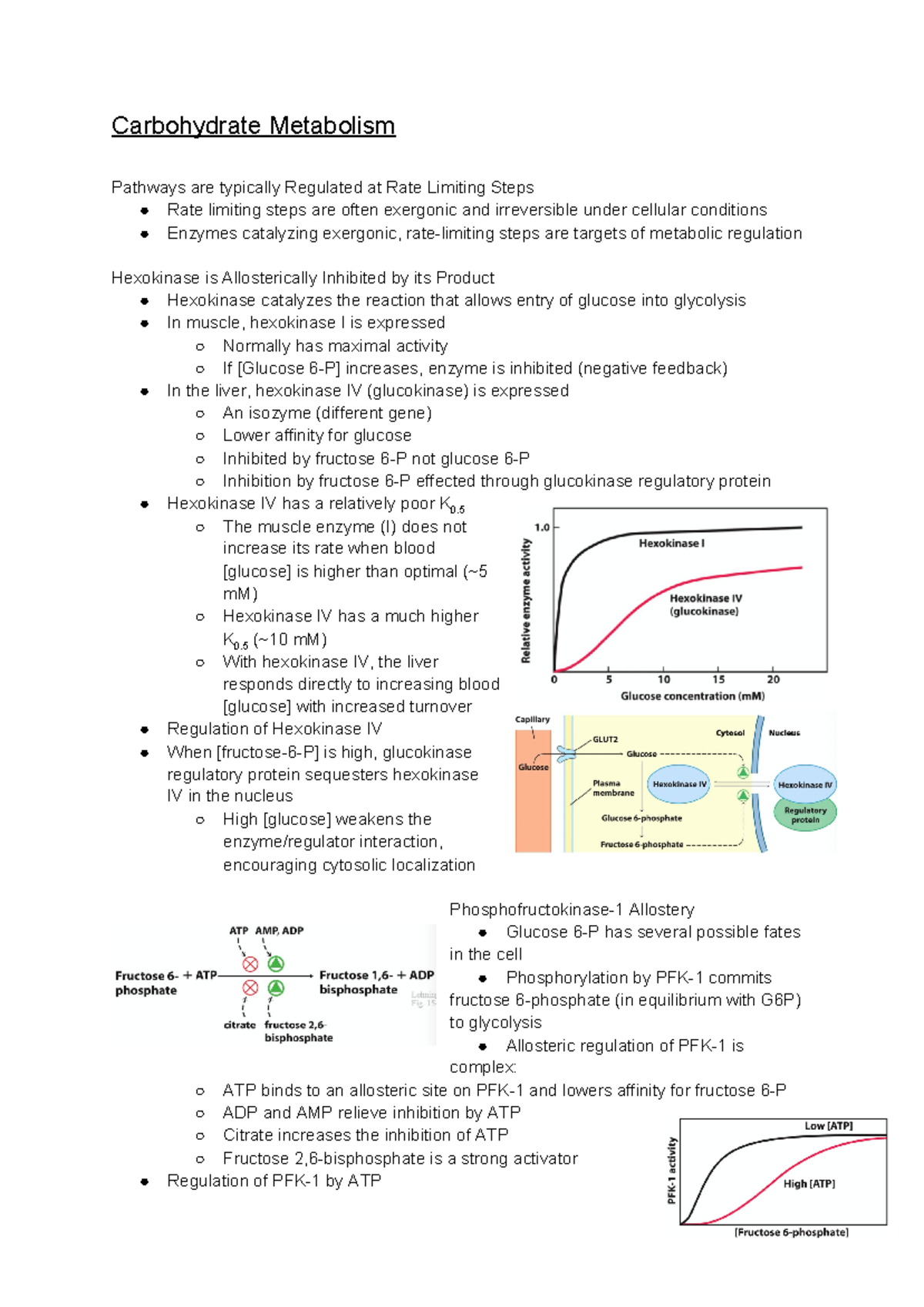 BIOC 3560 Final Notes - Carbohydrate Metabolism Pathways Are Typically ...