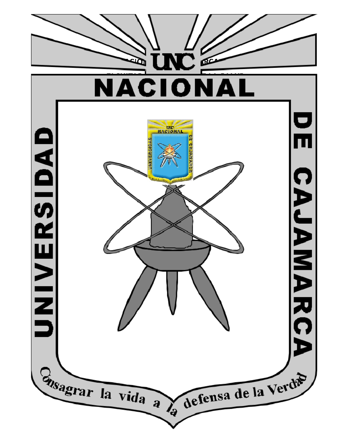 diagnostico nanda celulitis