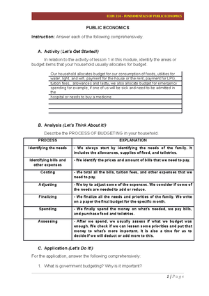 Budgeting Process Coursework - ECON 314 – FUNDAMENTALS OF PUBLIC ...