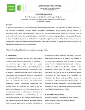 Informe N°2 ( Solubilidad)- Q. Inorgánica - AÑO DE LA UNIDAD, LA PAZ Y ...