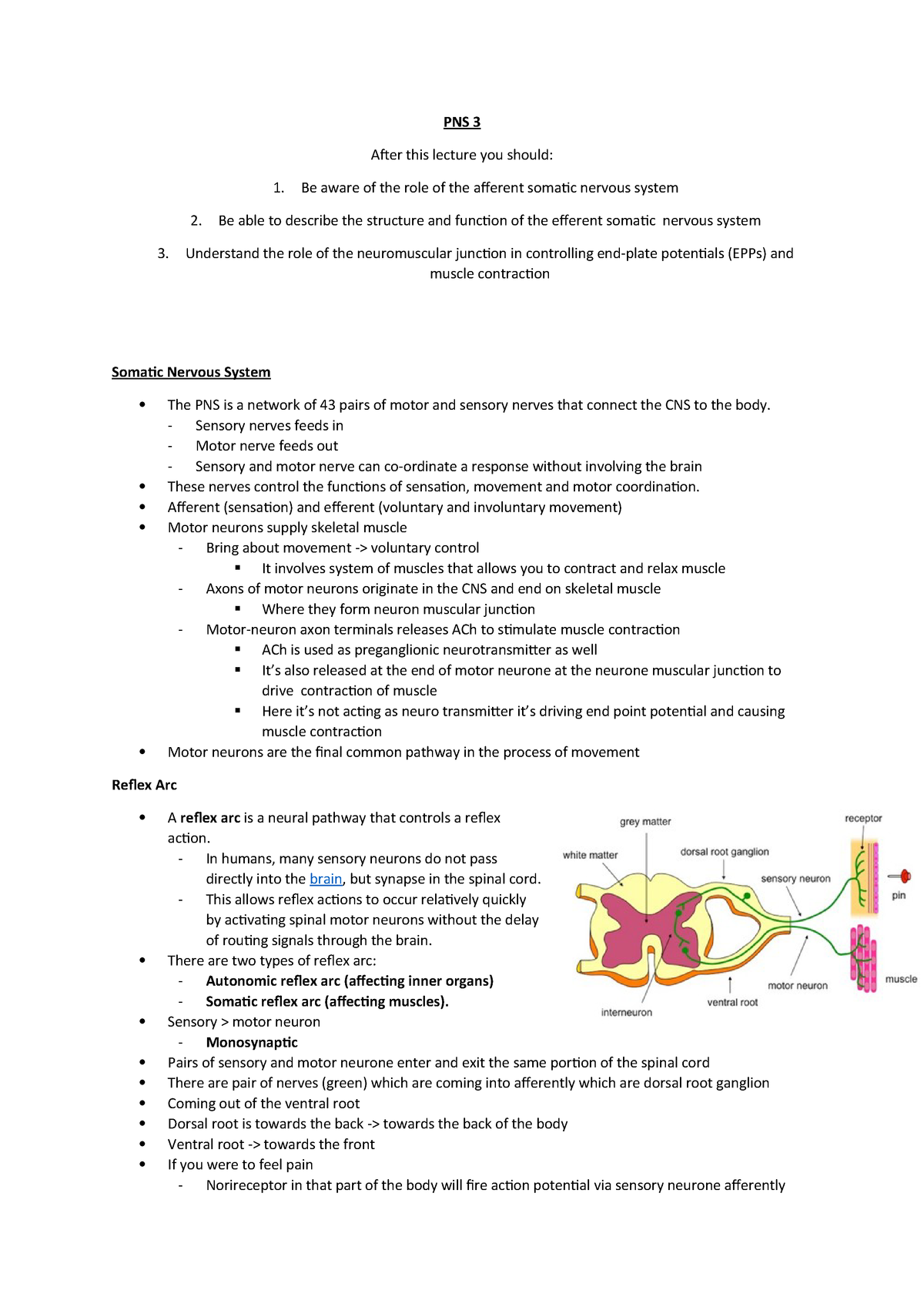 9 pns 3 lecture notes 9 bsc biomedical science c900 studocu studocu