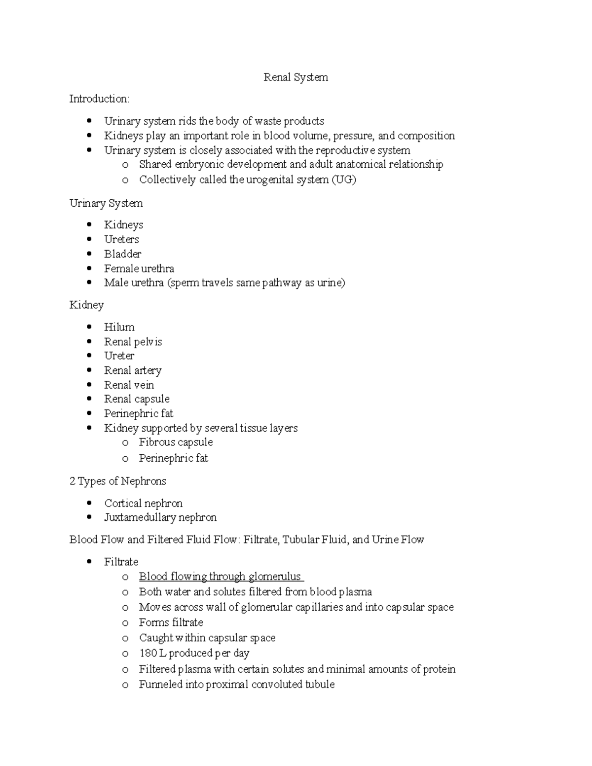 the-renal-system-renal-system-introduction-urinary-system-rids-the