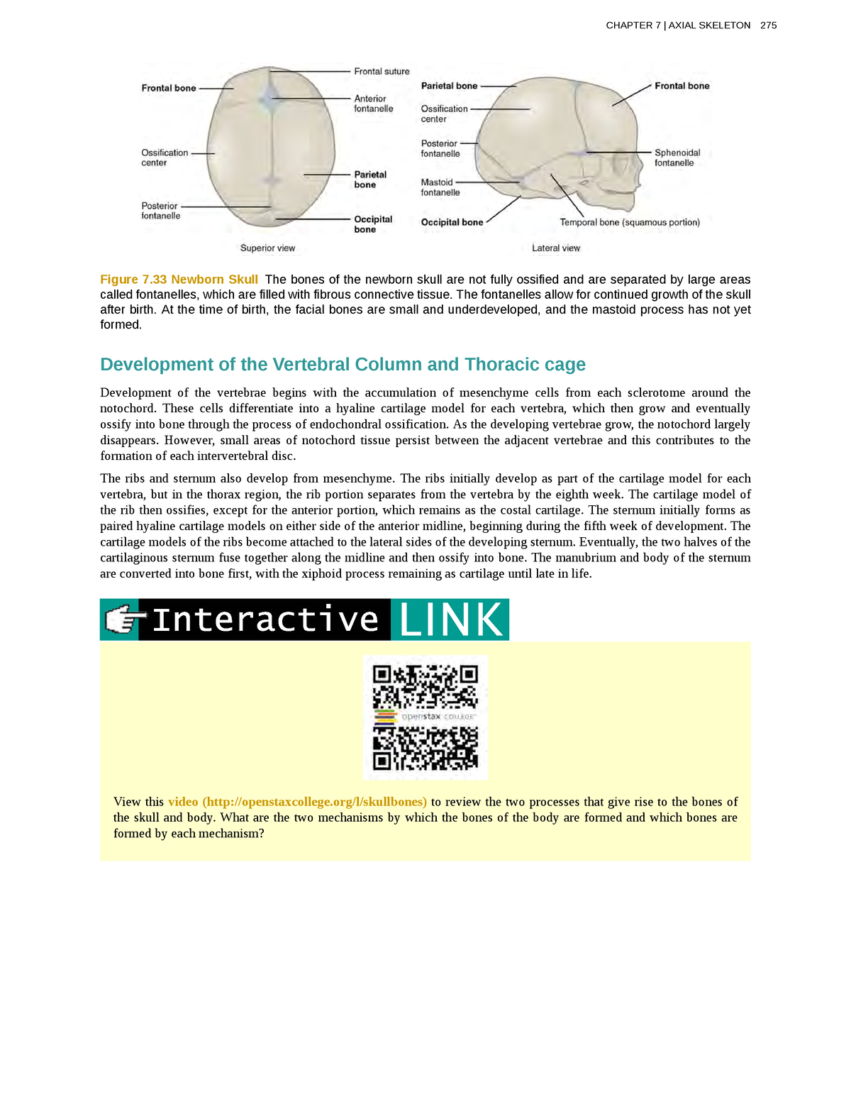 Anatomy-physiology-95 - Figure 7 Newborn Skull The Bones Of The Newborn ...