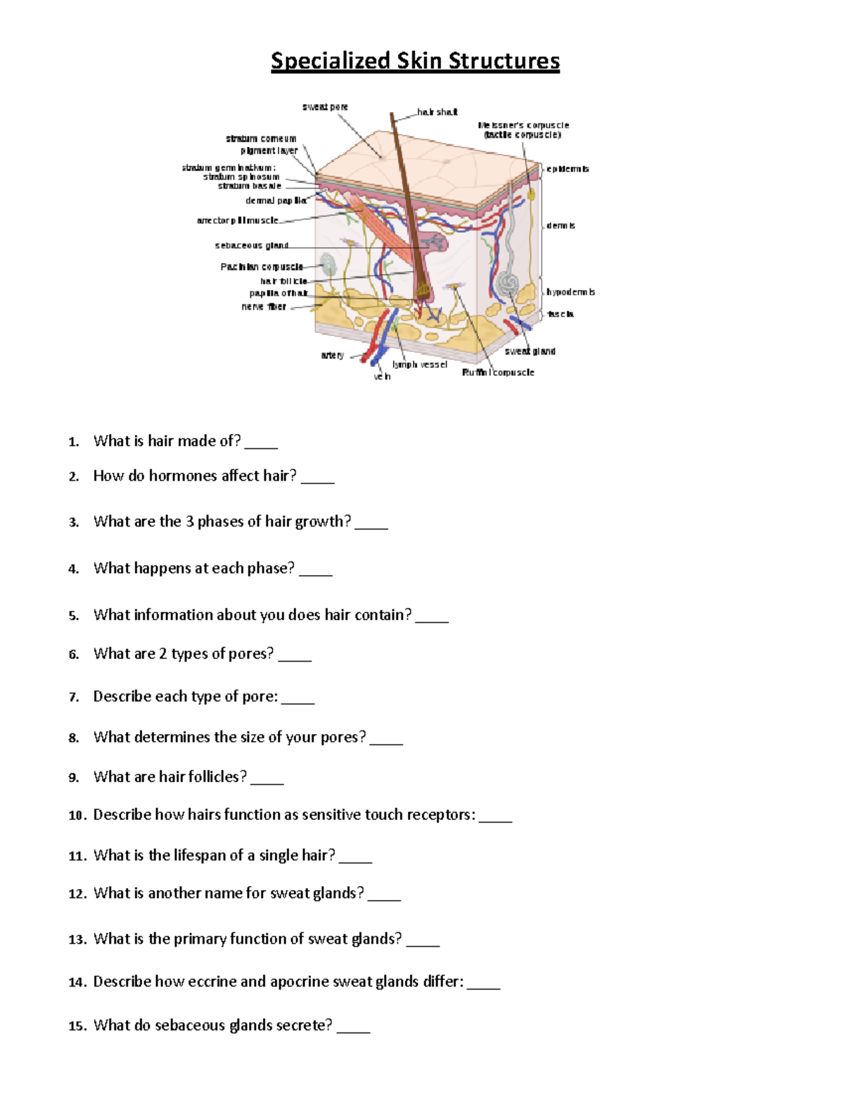 Notes Wksht - Specialized Skin Structures - Specialized Skin Structures ...