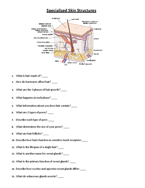 Chapter 5: The Integumentary System - Chapter 5: Integumentary System ...