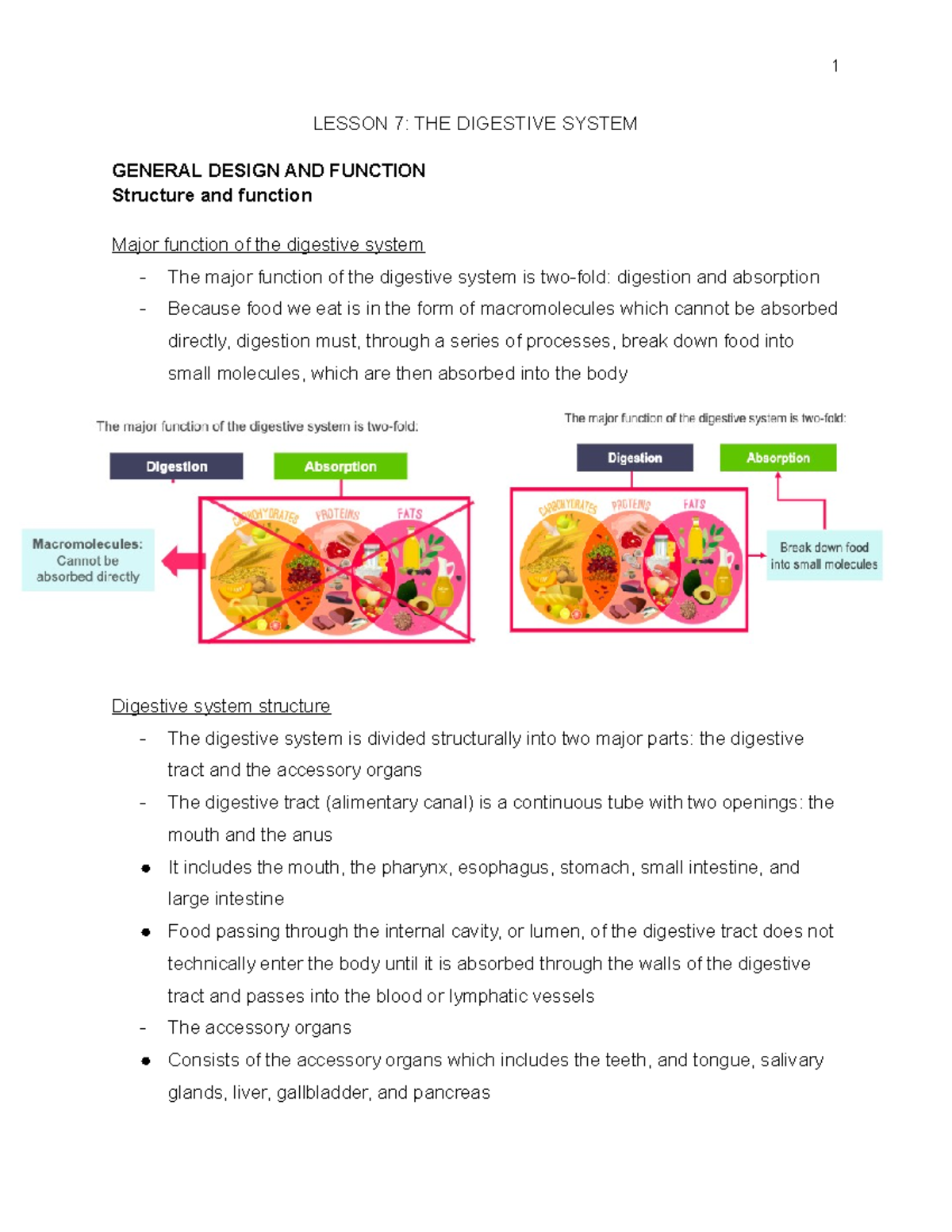 Lessons 7 8 Exi 202 - Lecture notes 7-8 - LESSON 7: THE DIGESTIVE ...