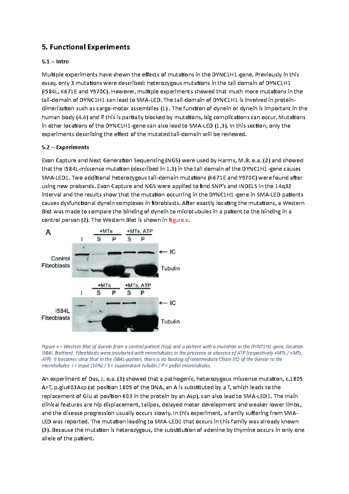 Functional experiments 5. Functional Experiments 5 Intro Multiple
