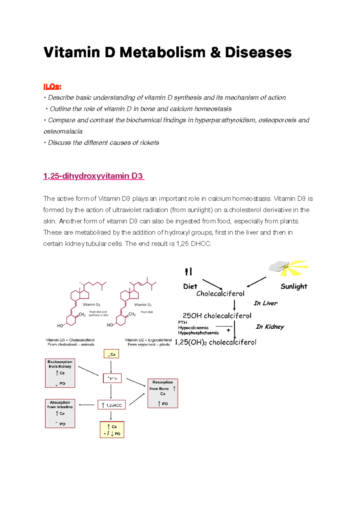 Vitamin D Metabolism Diseases V i t a m i n D M e t a b o l i s m & D