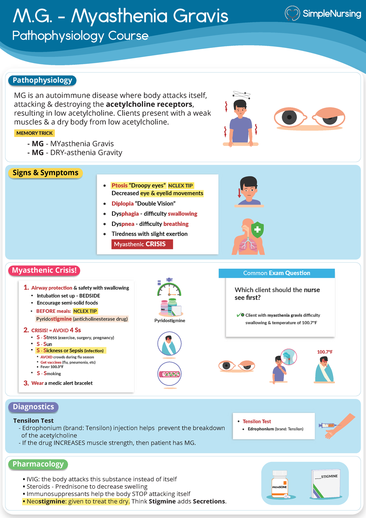 11. MG - Myasthenia Gravis - M. - Myasthenia Gravis Pathophysiology ...