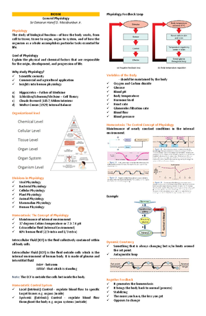 Physio Ex Exercise 8 Activity 3 1 - Pearsoncmg/bc/bc_0media_ap/physioex ...