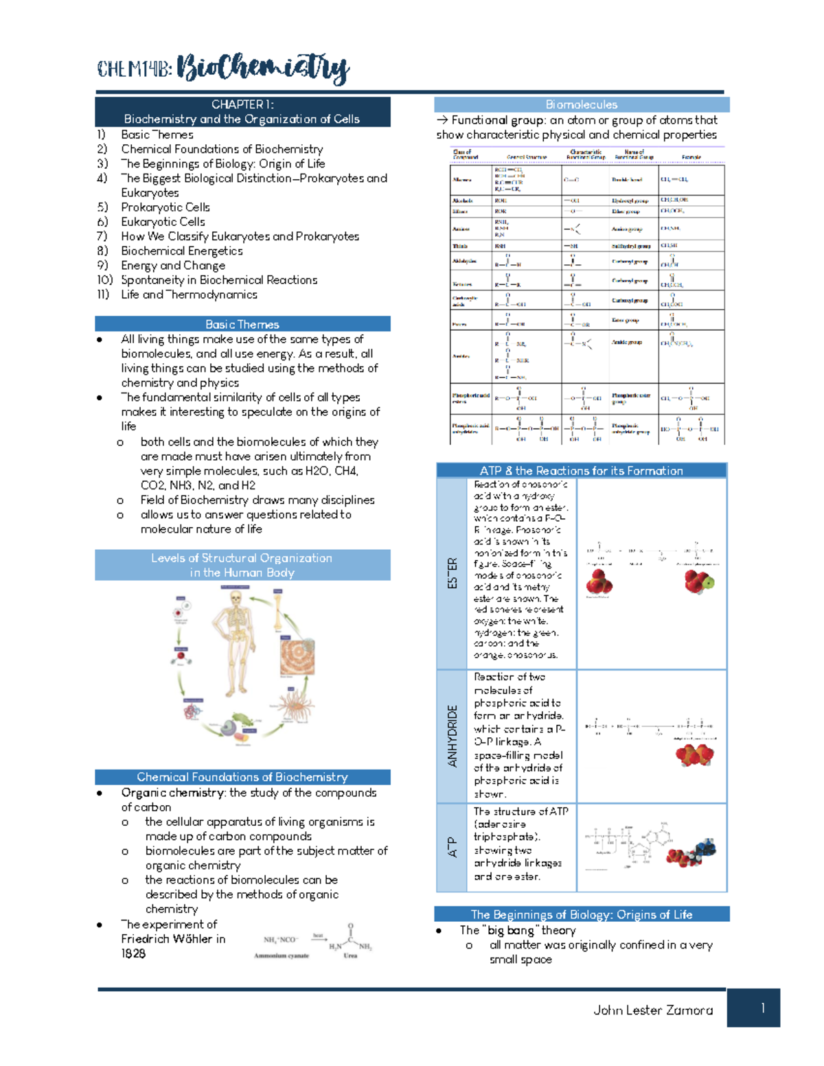 Pixorize Biochem Anki - h3r3ouu
