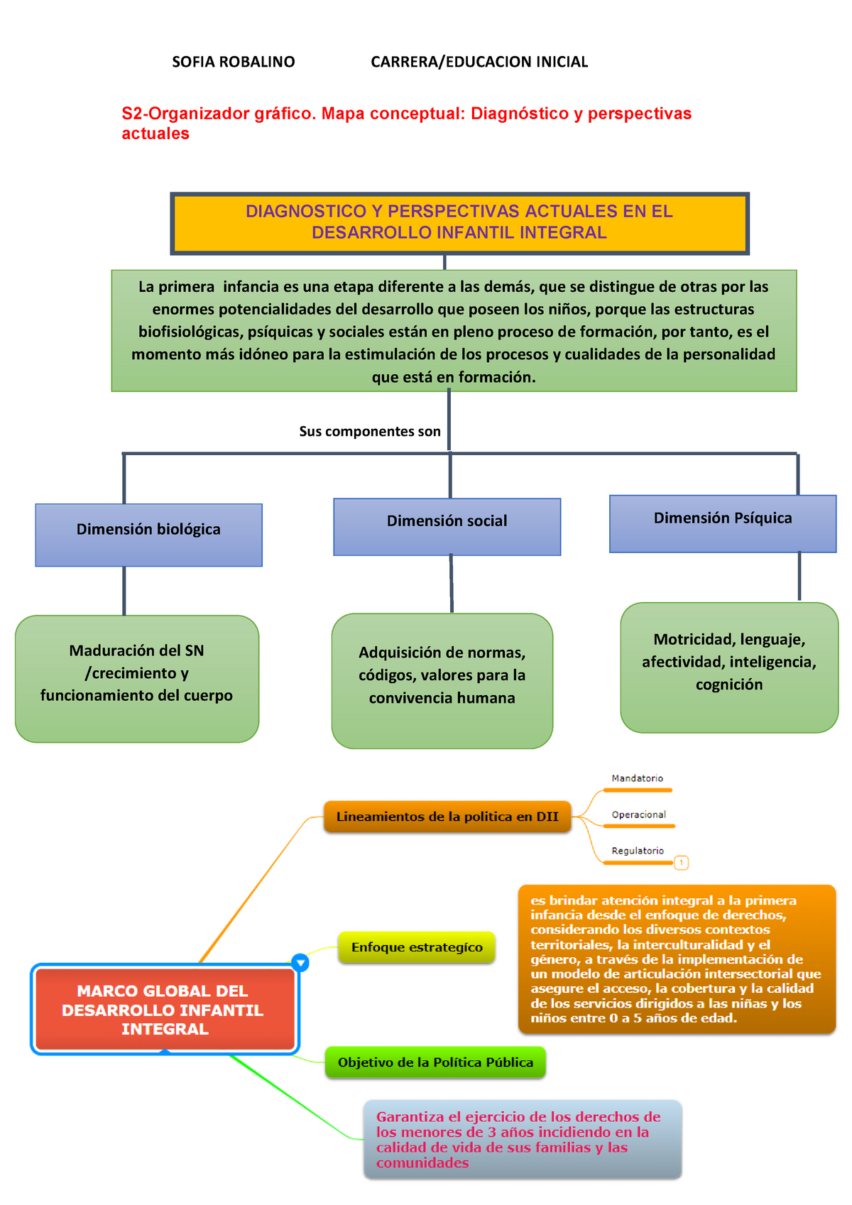 Mapa conceptual s1 políticas desarrollo infantil - SOFIA ROBALINO INICIAL  gráfico. Mapa conceptual: - Studocu