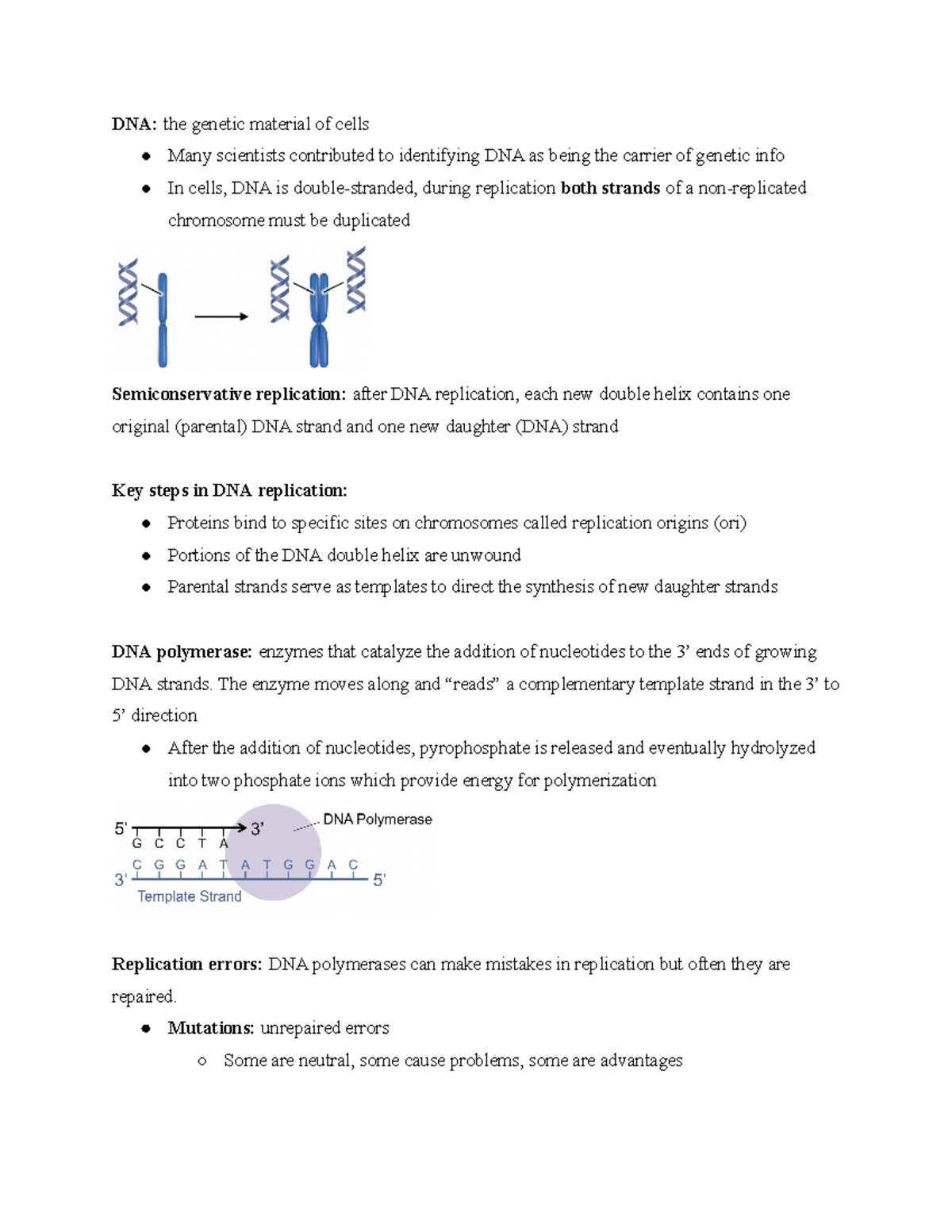 Bio Review Sheet #4 - Comprehensive Study Guide Of Test Material. - DNA ...