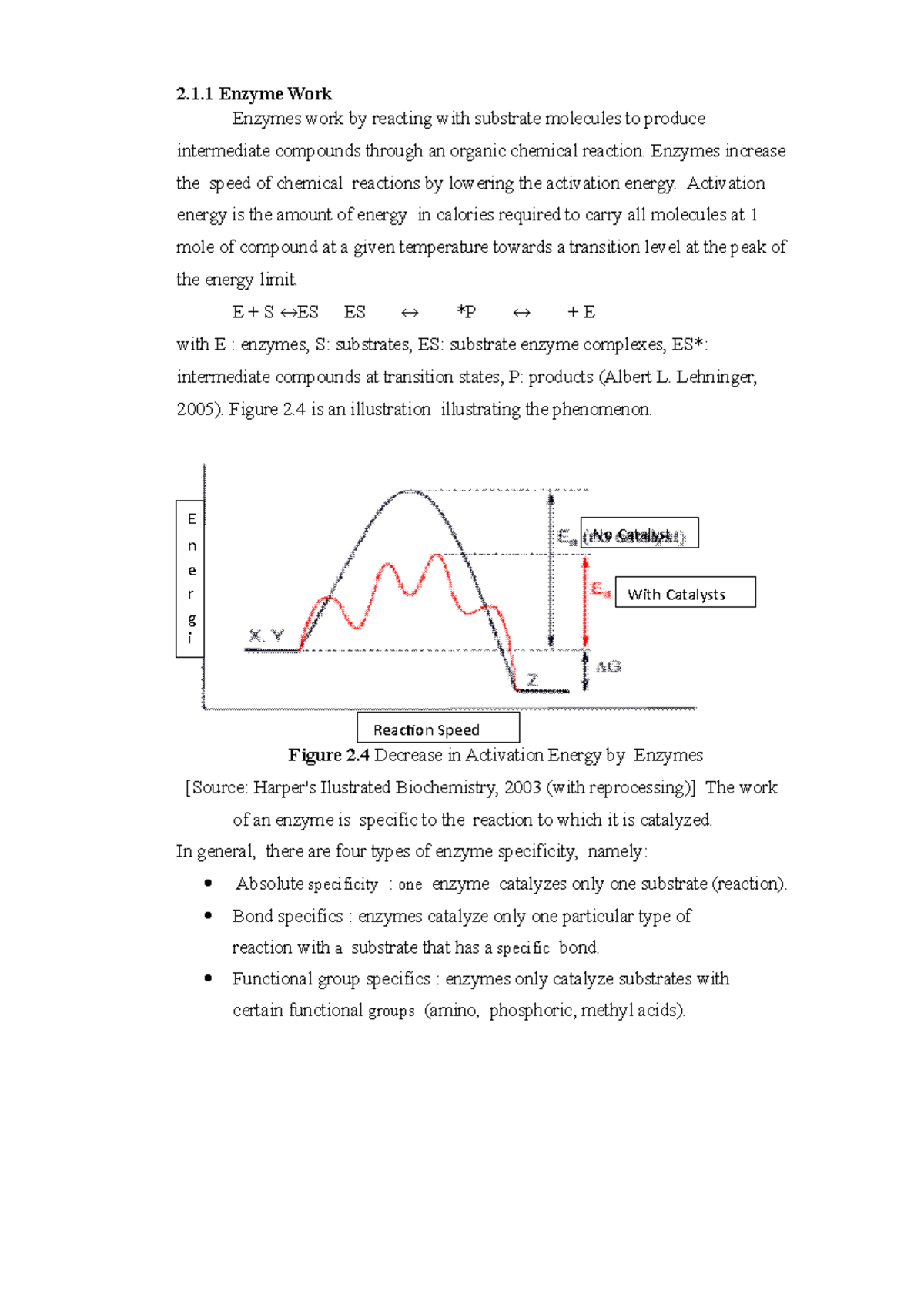 Enzyme Work E n e r g i No Catalyst With Catalysts Reaction Speed 2.1