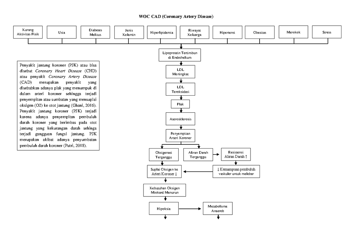 WOC CAD - WOC Coronary Artery Disease - WOC CAD (Coronary Artery ...