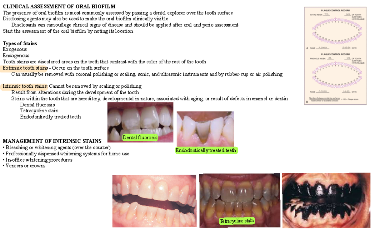 Coronal Polishing And Flossing - CLINICAL ASSESSMENT OF ORAL BIOFILM ...