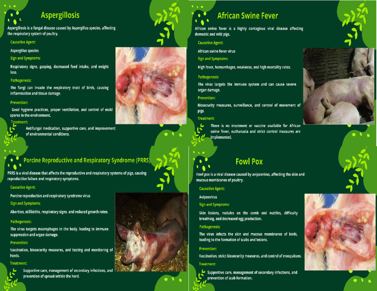 30 Common Diseases of Swine, Poultry, and Ruminant - Animal Science ...