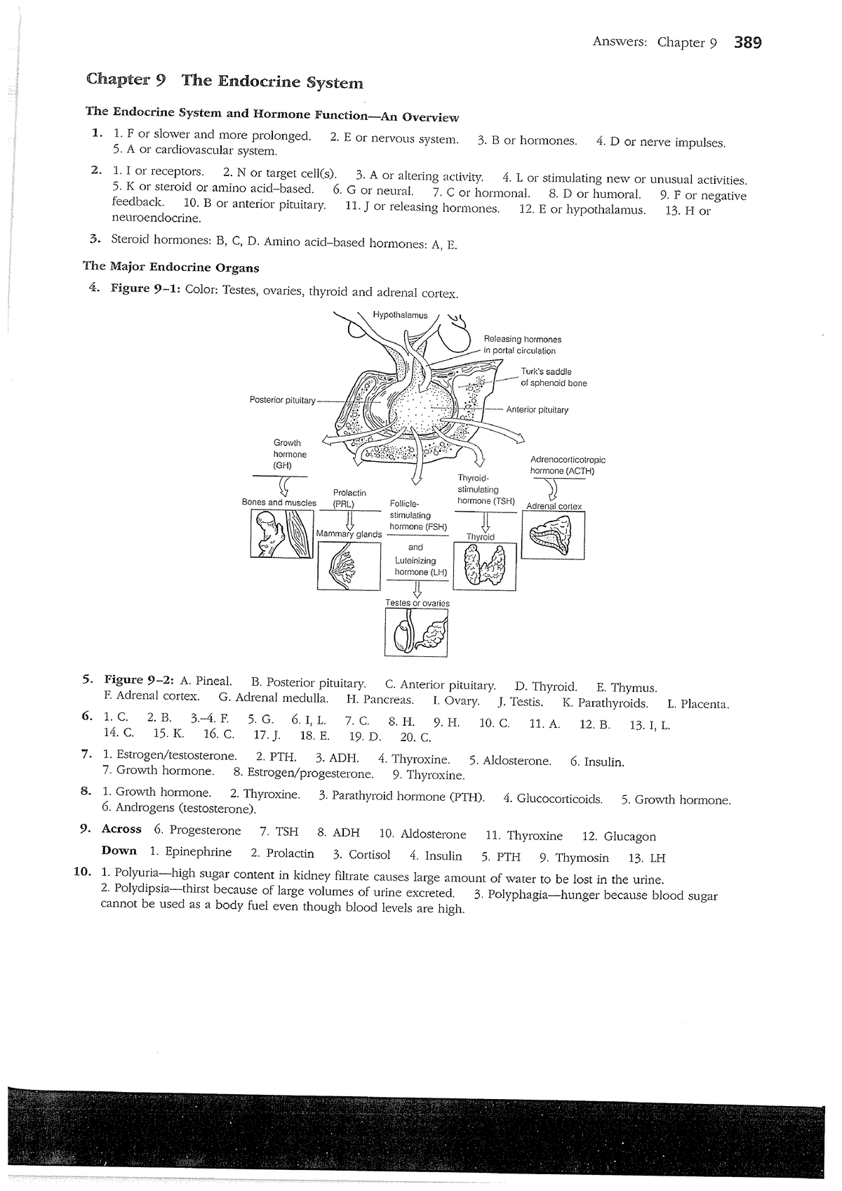 Answers - endocrine and body defenses - RBM1518 - Studocu