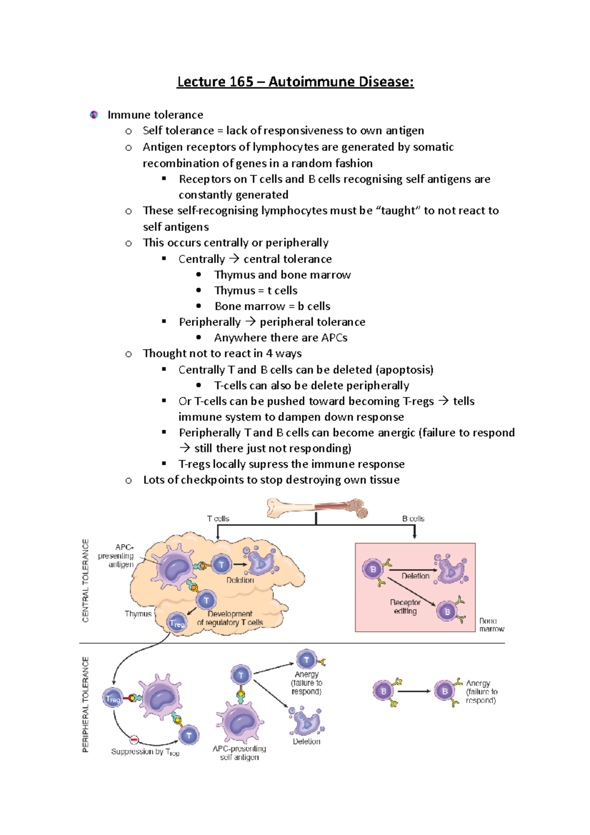 Lecture 165 – Autoimmune Disease - Lecture 165 – Autoimmune Disease ...