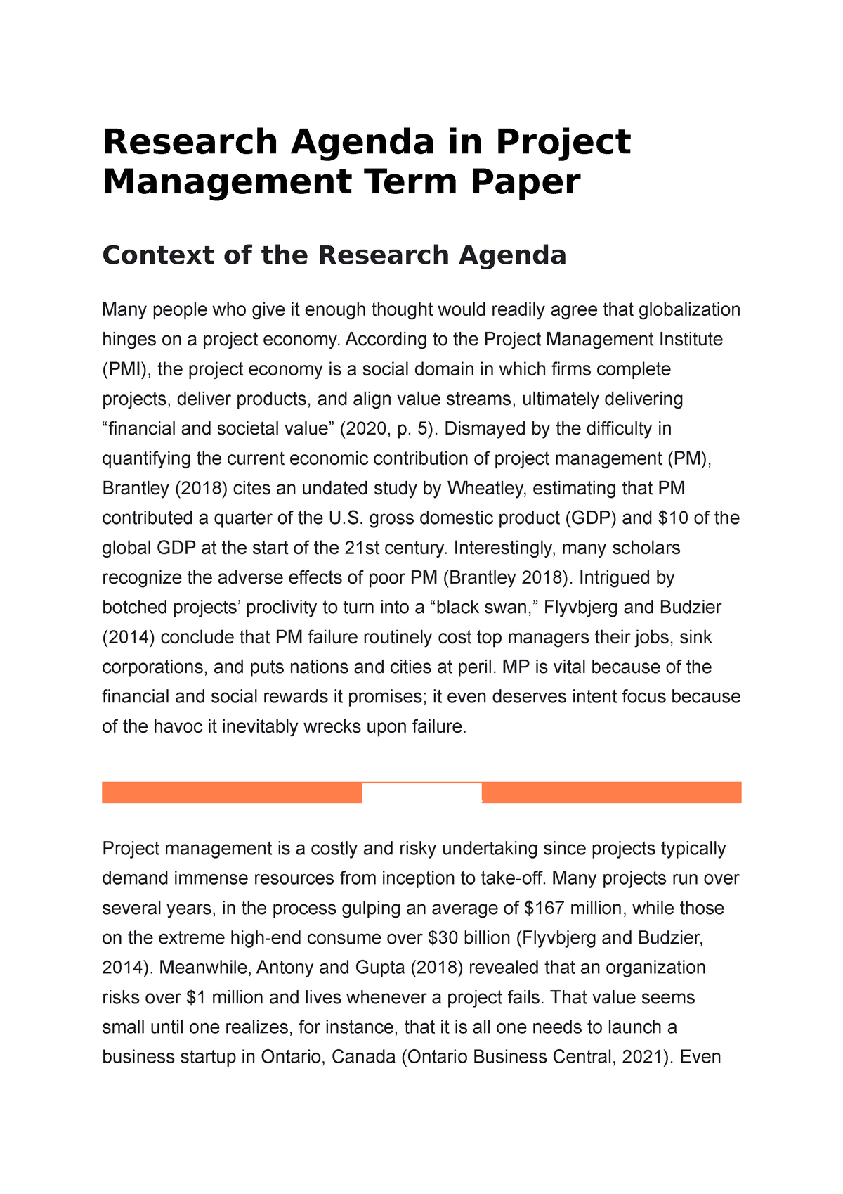 project management term paper example