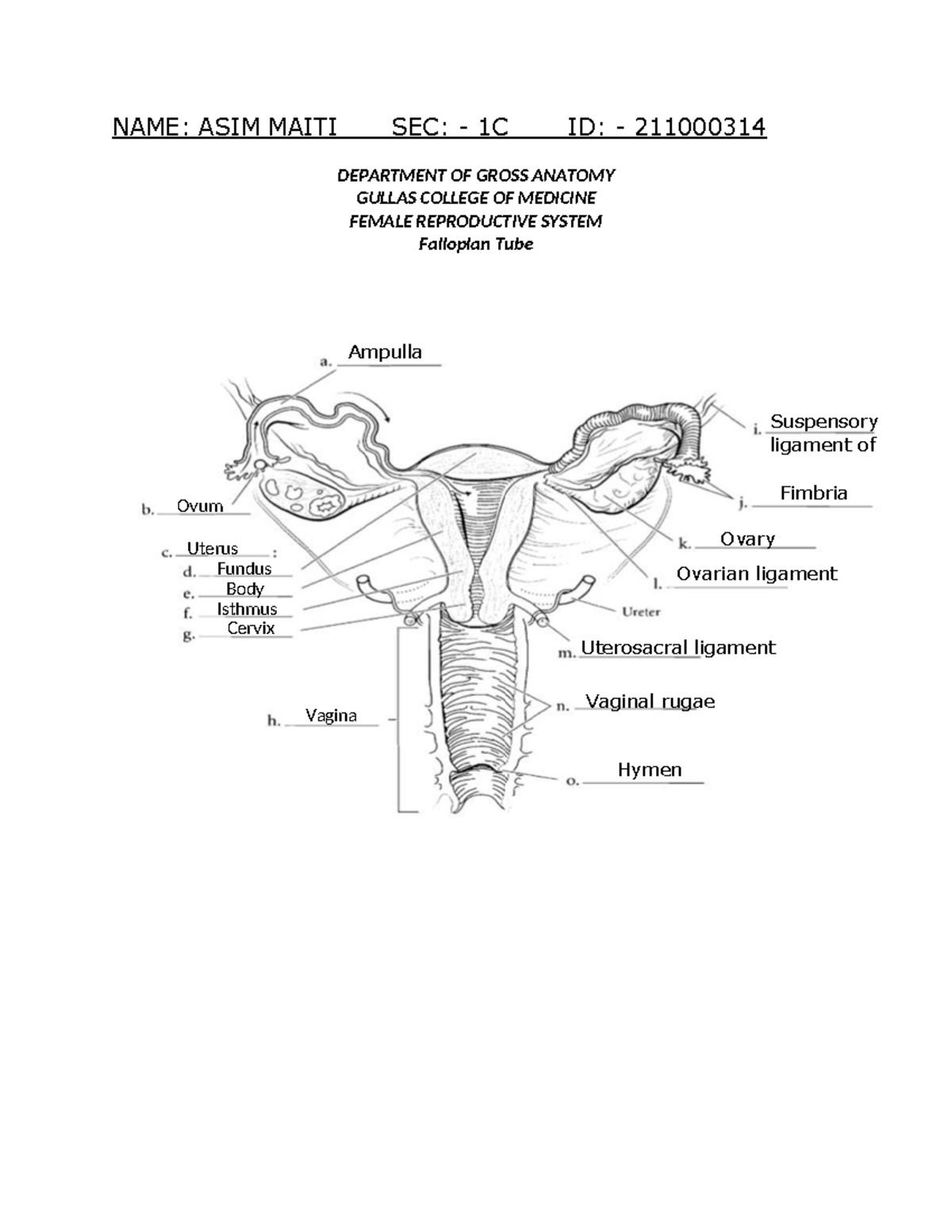 211000314 Fallopian TUBE Activity - Advance Biology - NAME: ASIM MAITI ...