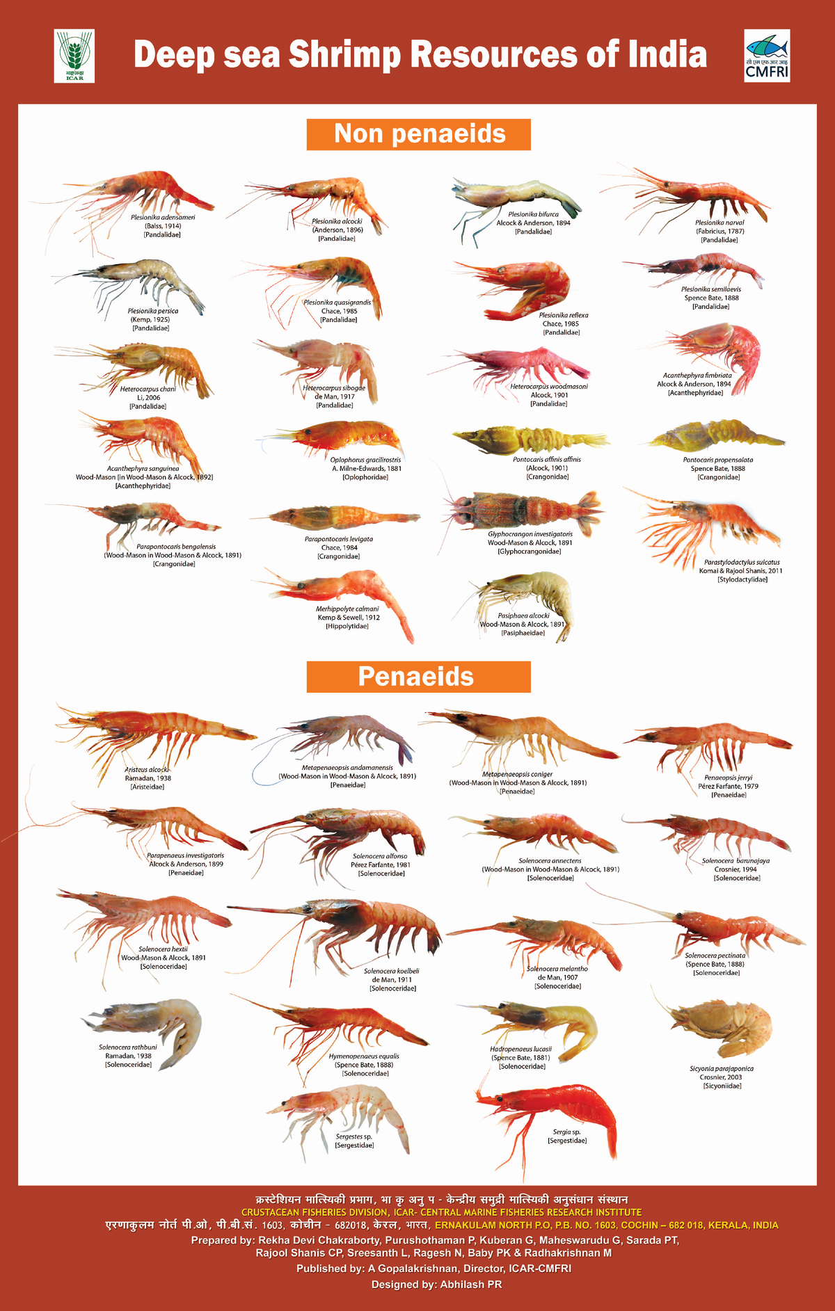 Deep Sea Shrimp Resources of India Poster - Marine Bilogy - StuDocu