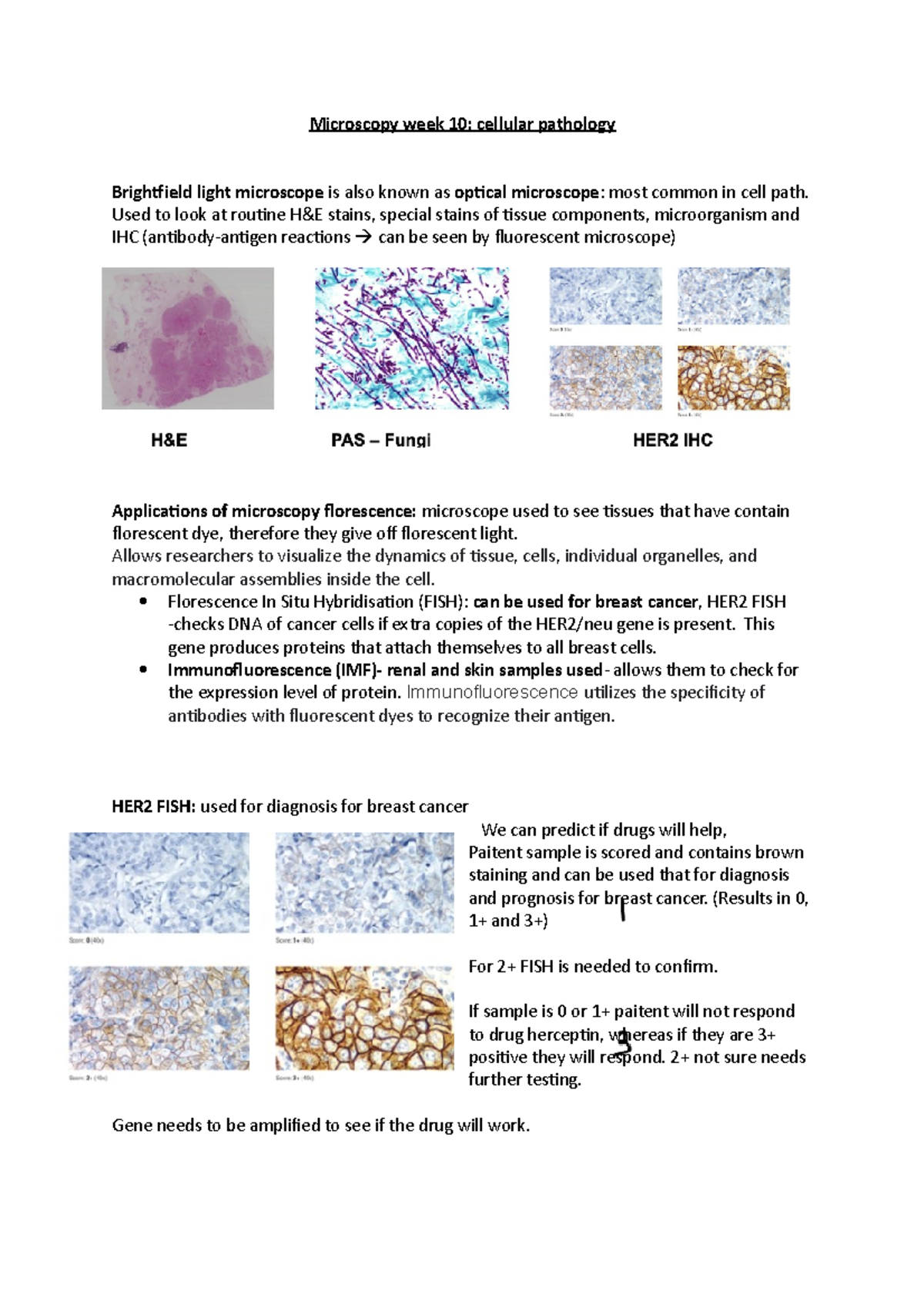 Microscopy week 10 - Used to look at routine H&E stains, special stains ...