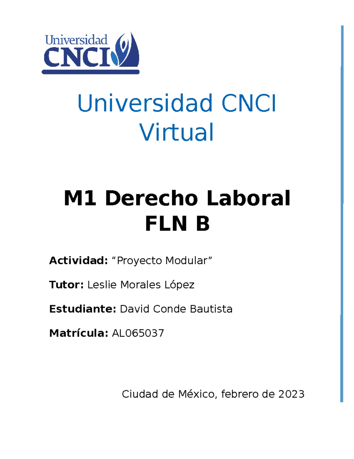 Proyecto -Modular-Derecho-Labroral - Universidad CNCI Virtual M1 ...