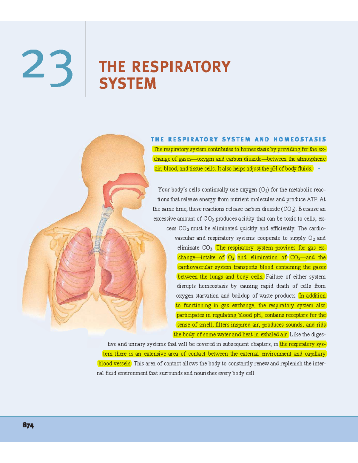 DOC20230918WA0028 Basic anatomy and physiology are essential for