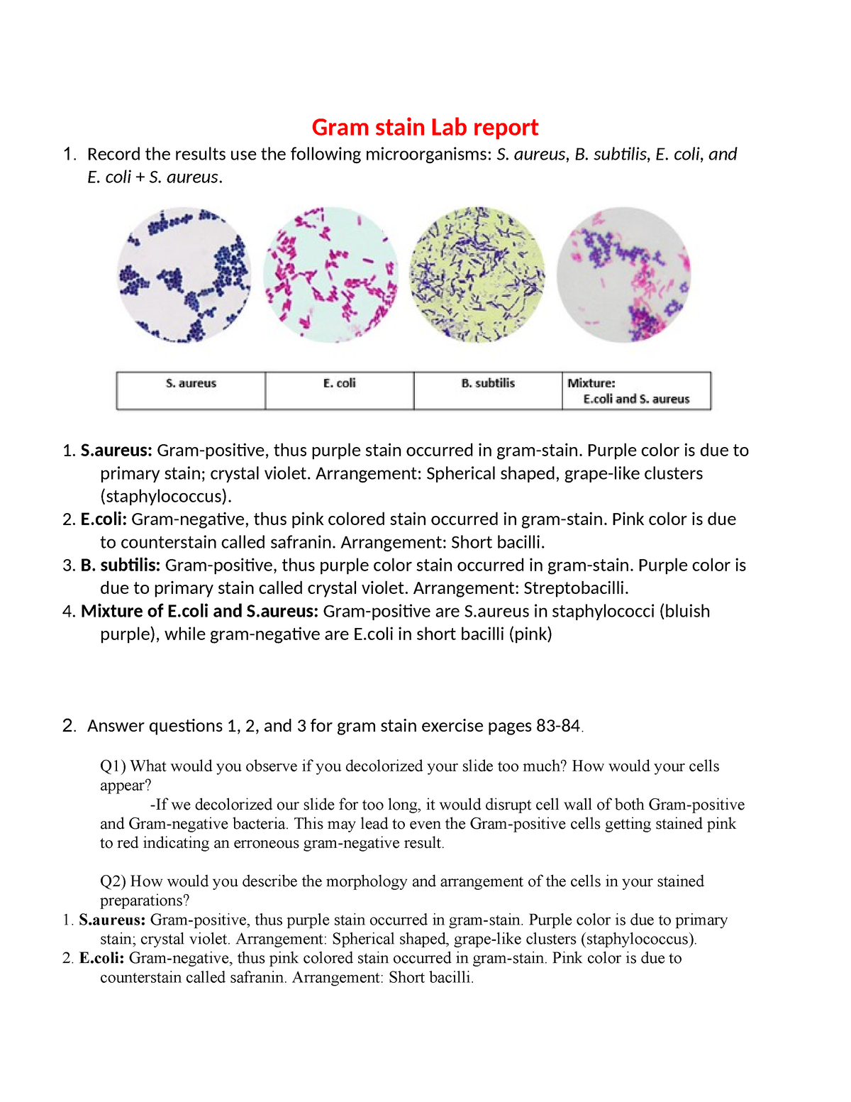 Gram Sain Lab Report - Gram Stain Lab Report 1. Record The Results Use ...