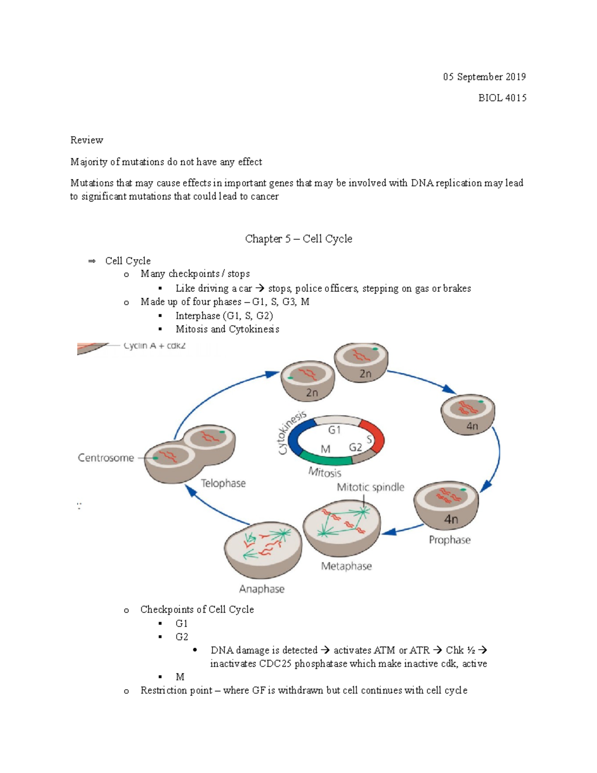 05 September - Chapter 5 – Cell Cycle - 05 September 2019 BIOL 4015 ...