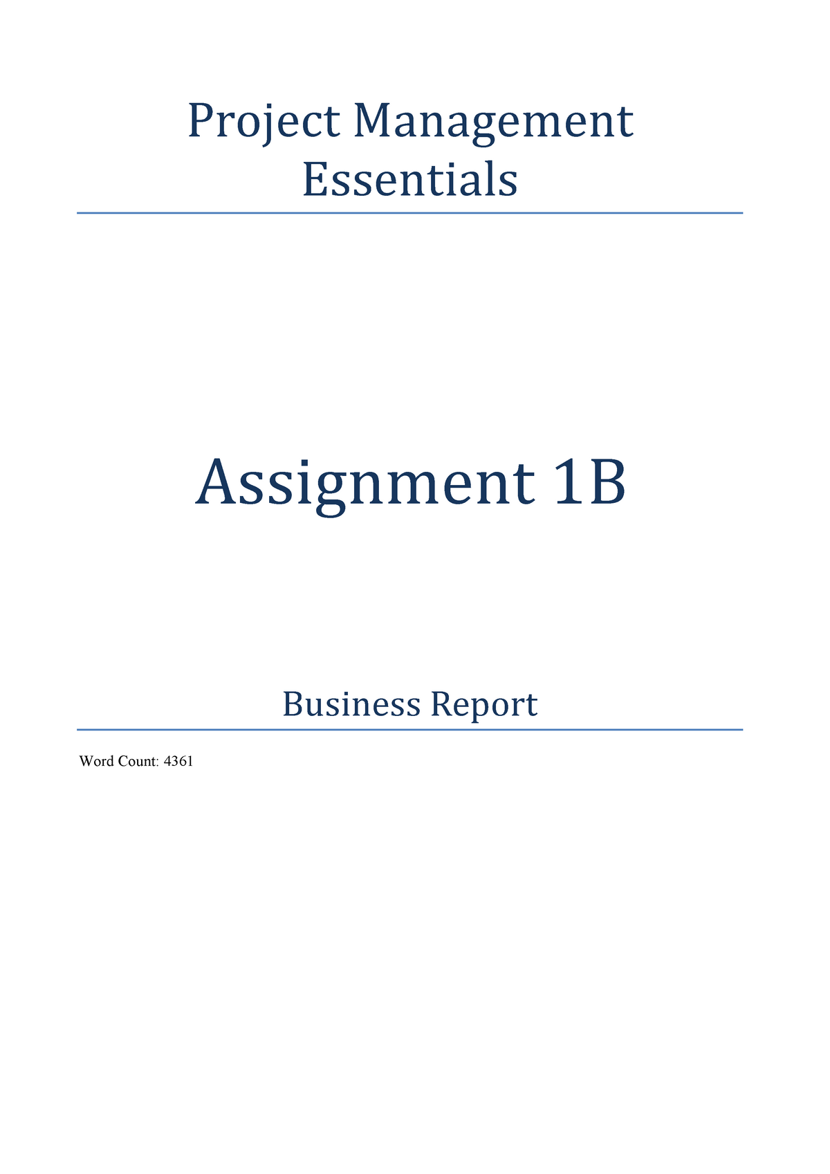 project management business assignment