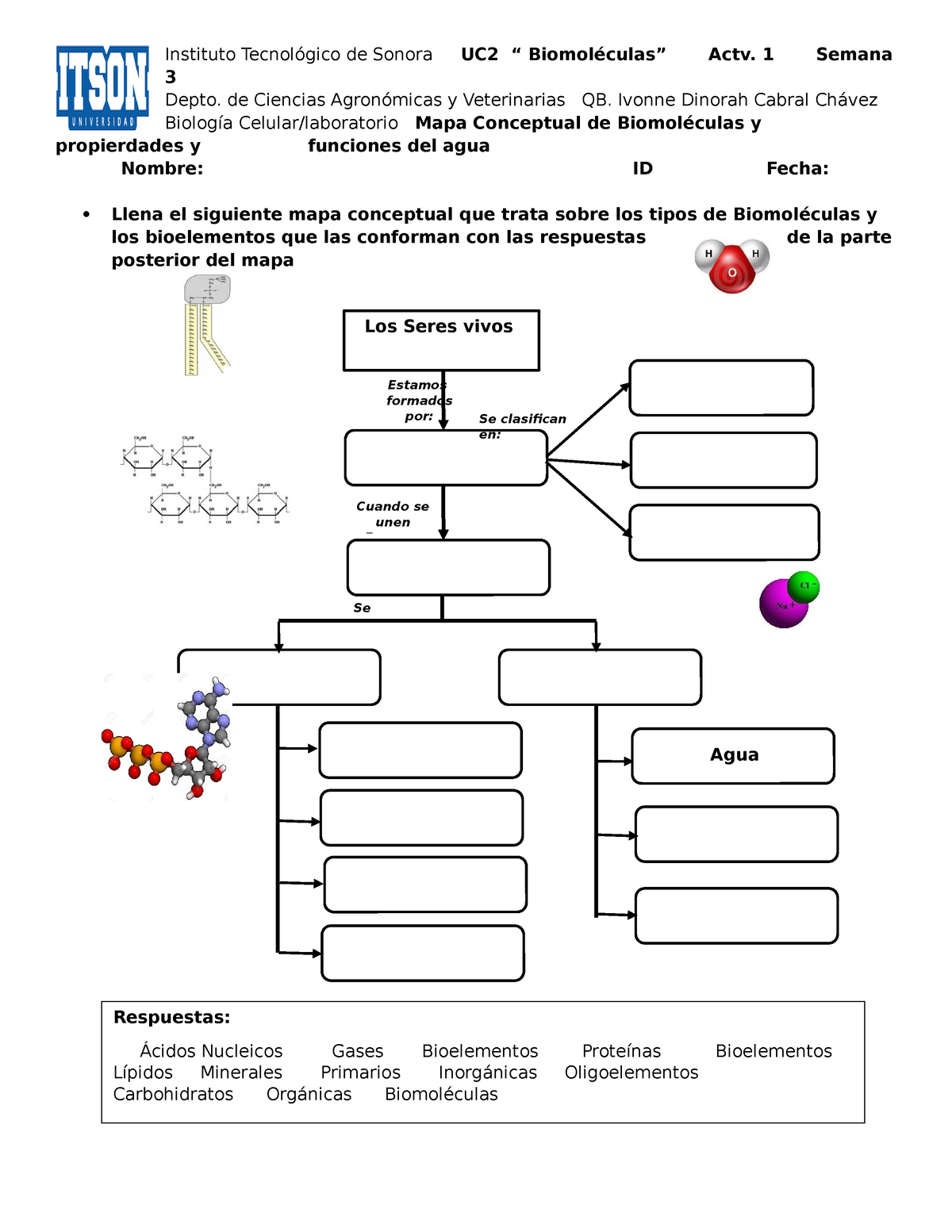 Actv. 1 Mapa mental Biomoléculas y propiedaes del agua - Instituto  Tecnológico de Sonora UC2 “ - Studocu