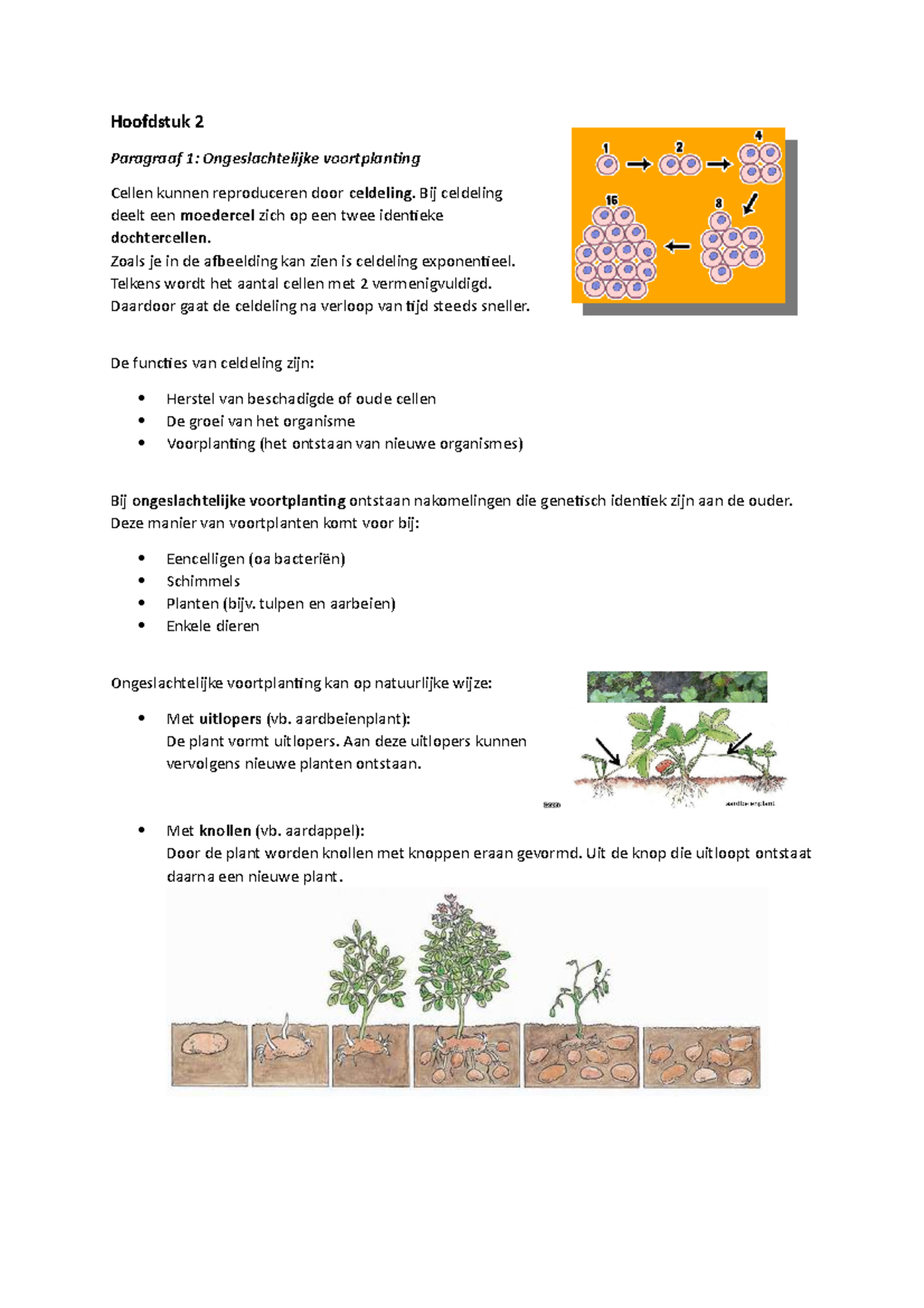 Samenvatting H2 Paragraaf 1 Tot 4 Hoofdstuk 2 Paragraaf 1