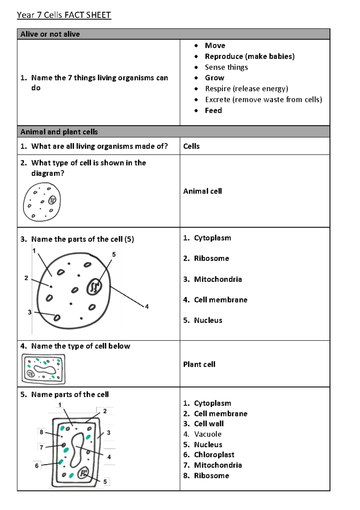 Year-7-Cells - Notes biology tutorial work - Year 7 Cells FACT SHEET ...