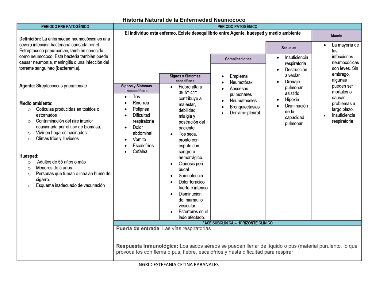 Hne Historia Natural De La Enfermedad Neumococo Enfermeria