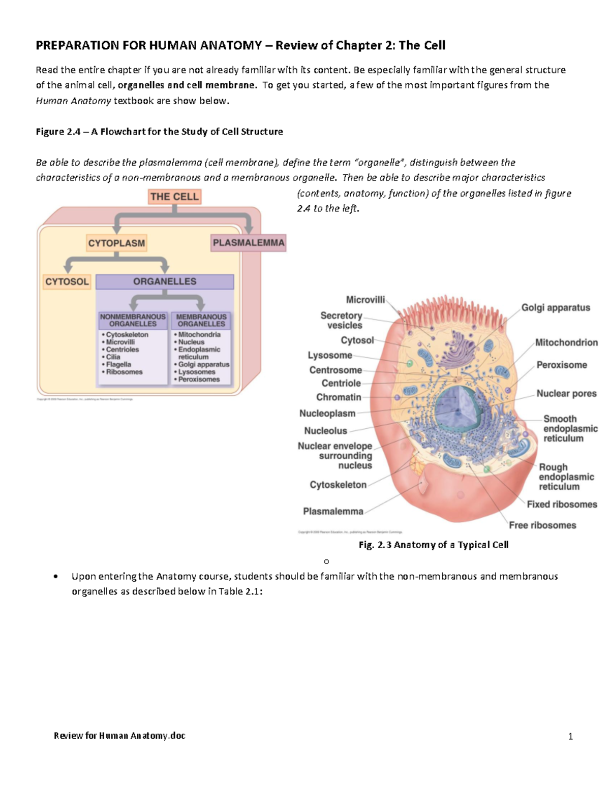 Chapter 2 Summary to practice Review for Human Anatomy 1