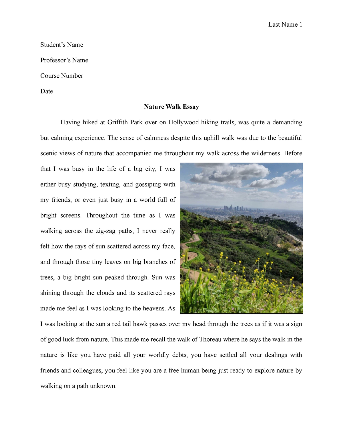 a nature walk essay