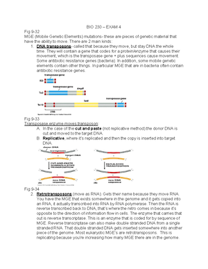 Ch 7 From DNA to Proteins - Chapter 7: From DNA to Protein FROM DNA TO ...