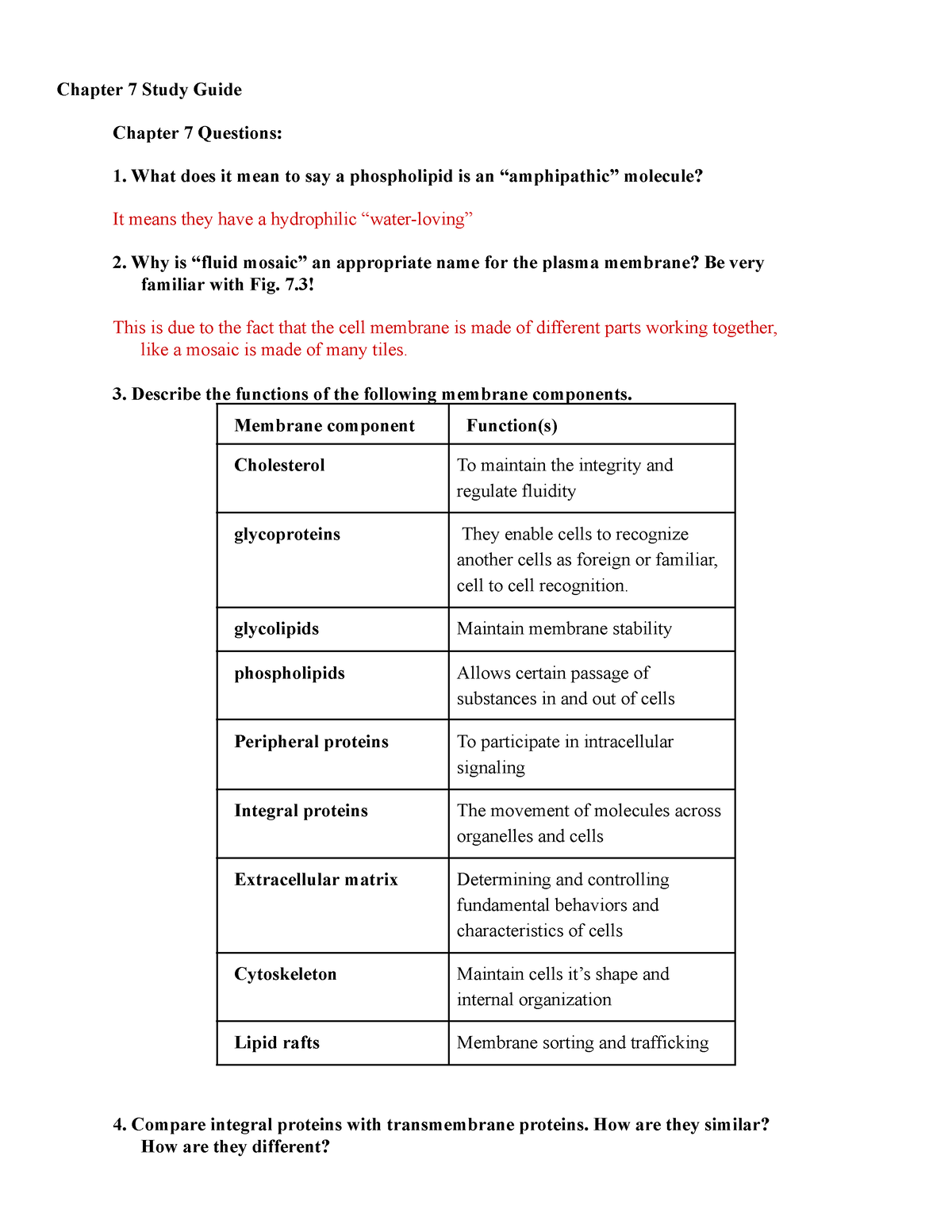 Chapter 7 Study Guide Updated 8-25-23 - Chapter 7 Study Guide Chapter 7 ...