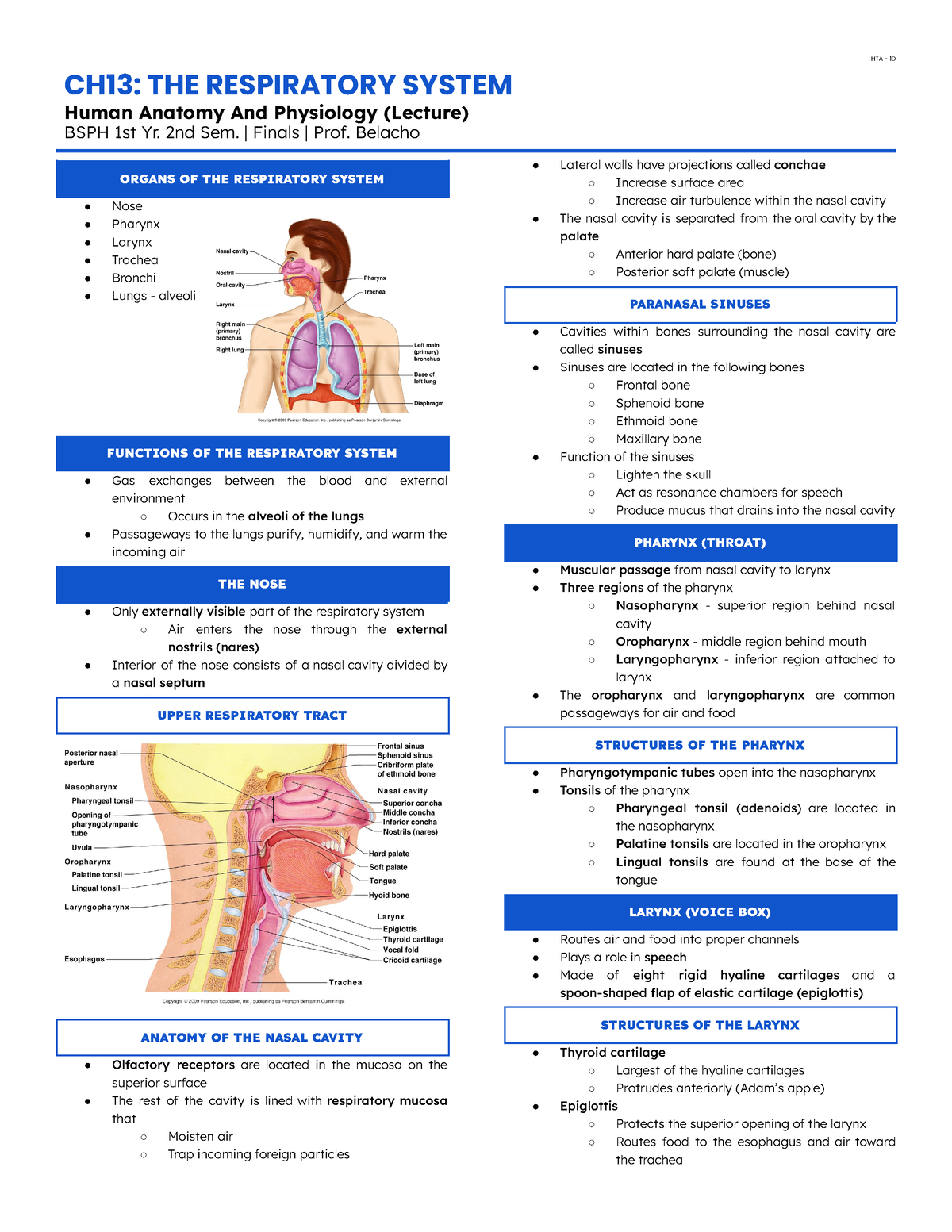 Anaphy LEC-CH13 - just sharing - CH13: THE RESPIRATORY SYSTEM Human ...