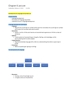 Psych 361 Chapter 4 Lecture - Theories of Cognitive Development Outline ...
