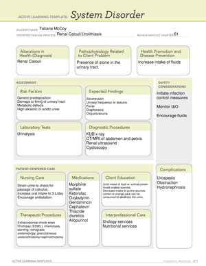ALT System Disorder Renal Calculi ACTIVE LEARNING TEMPLATES