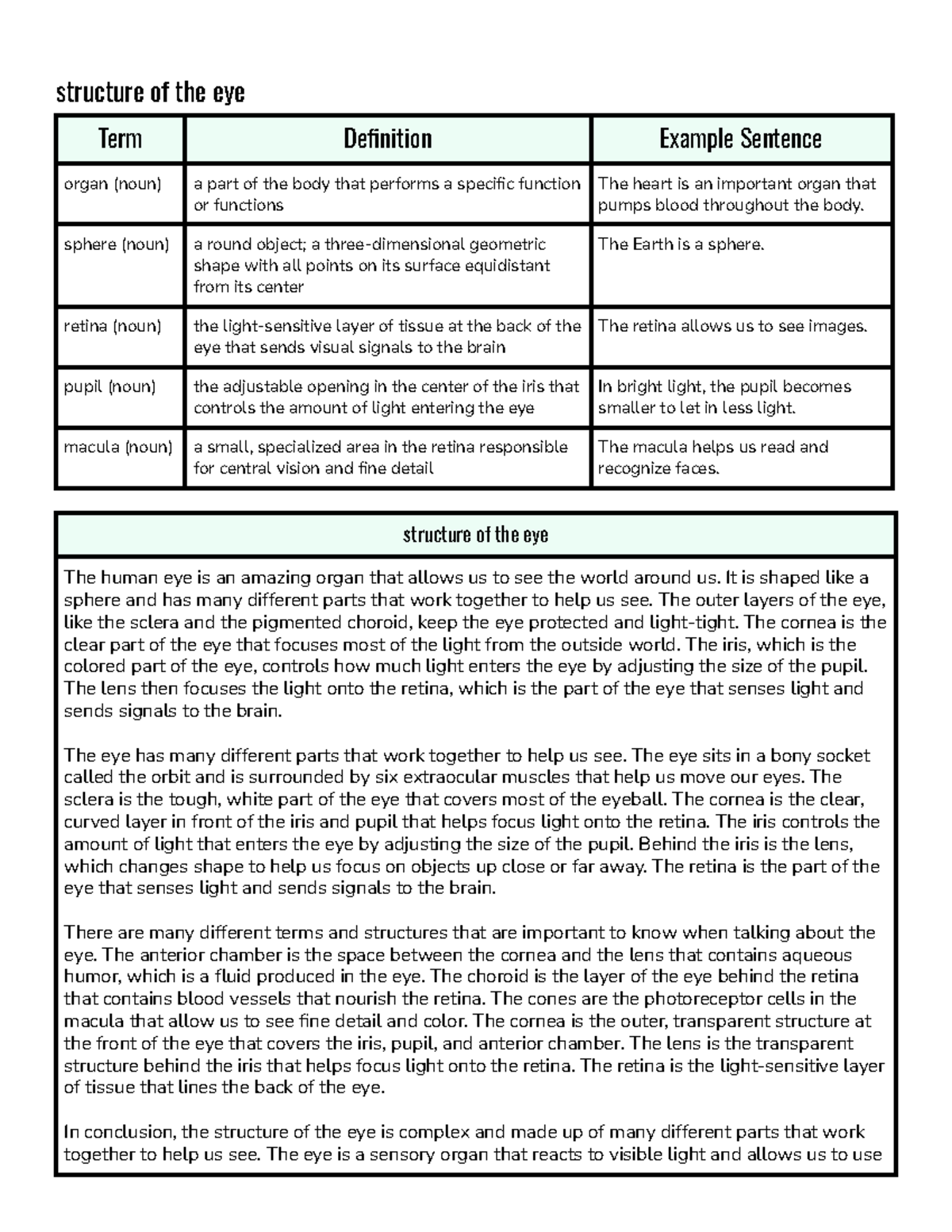 Structure of the eye - structure of the eye Term Definition Example ...