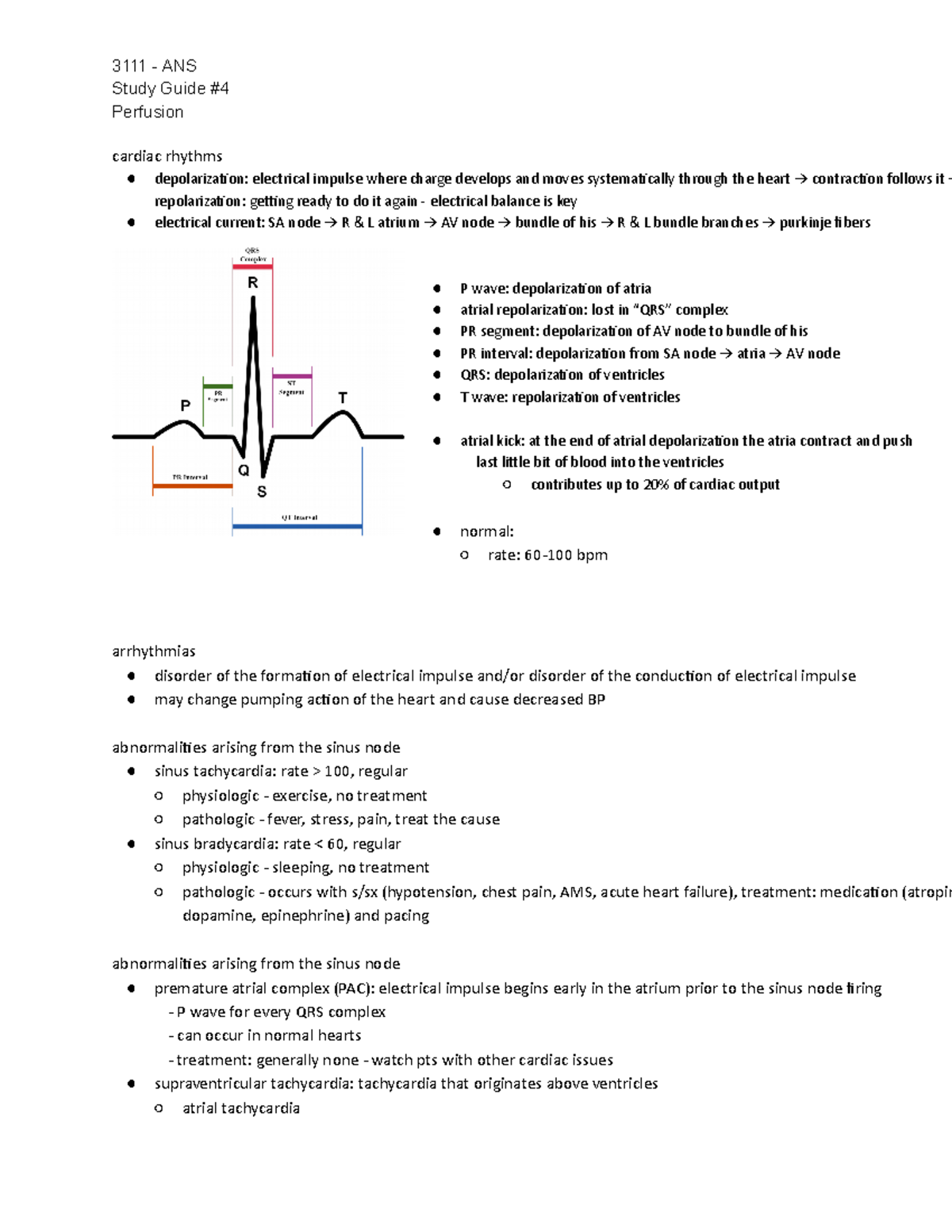 3111 study guide #4 - 3111 - ANS Study Guide Perfusion cardiac rhythms ...