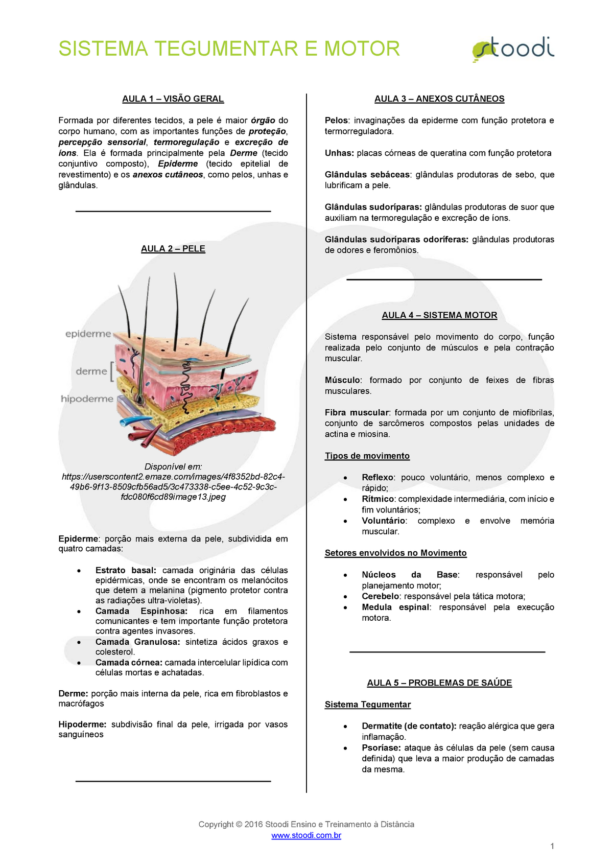 Biologia Sistema Tegumentar Estudos Aprendizagem - Introducao A ...