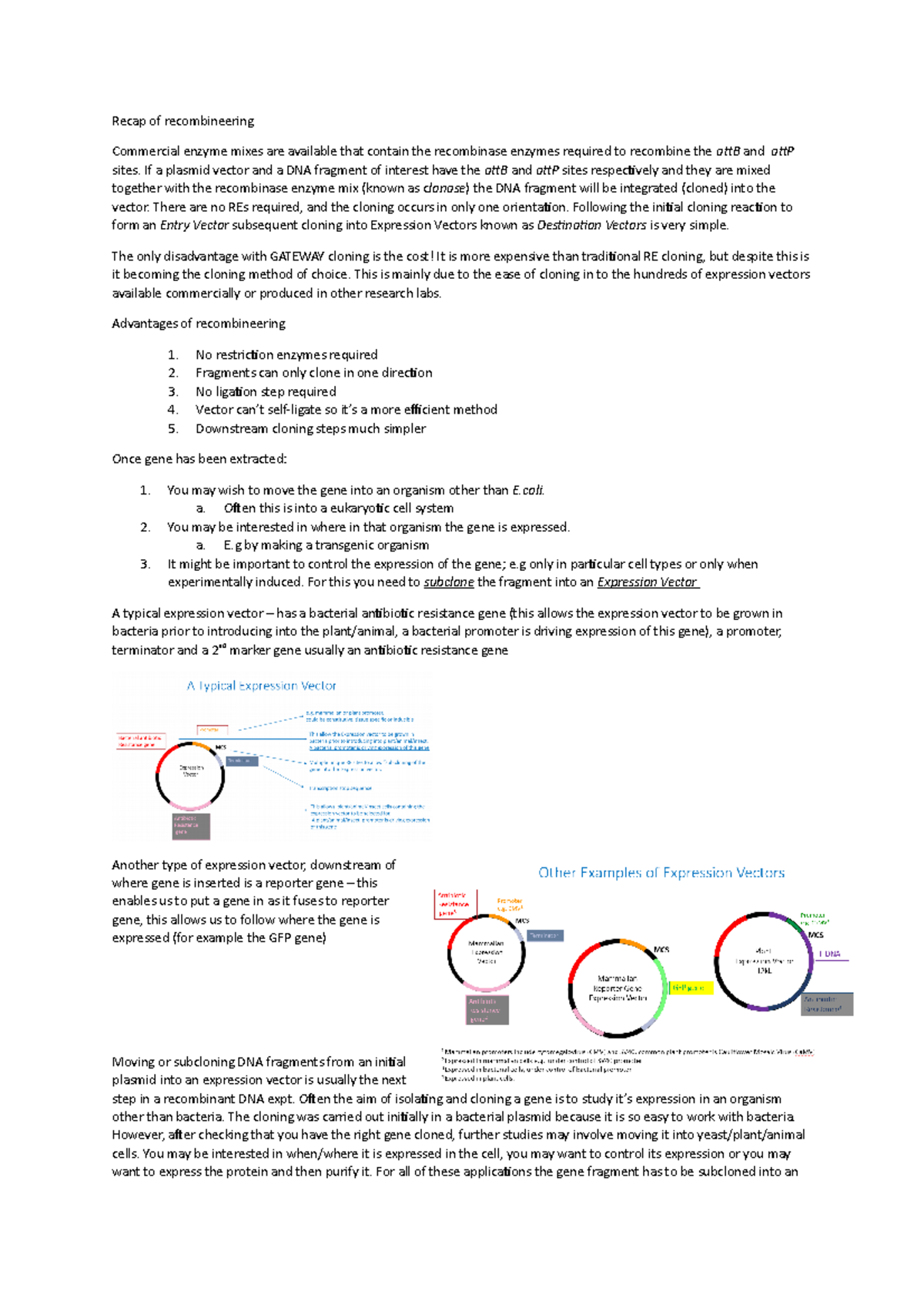 Genetics lecture 32 - Advantages of recombineering - Recap of ...